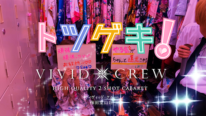 VIVID CREW 兎我野店